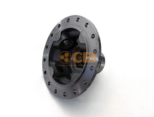 Housing, differential (175.371)