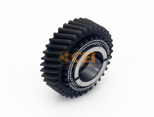 Gear, main shaft (244.009)