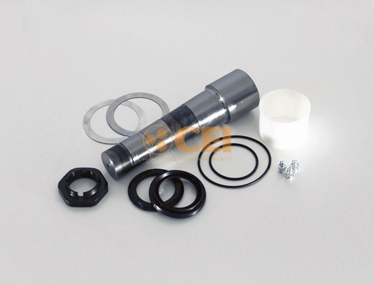 Repair Kit, kingpin (230.065)