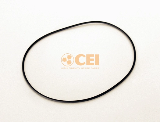 Seal Ring (239.069)