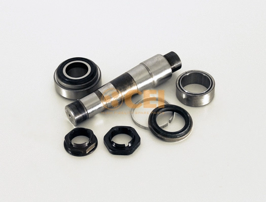 Repair Kit, kingpin (230.076)