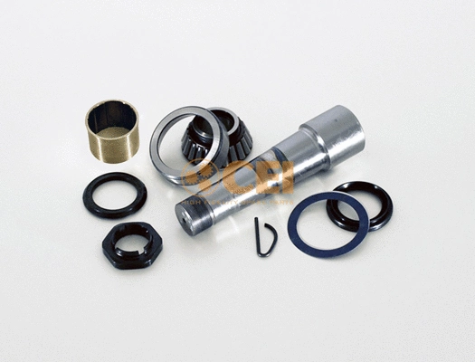 Repair Kit, kingpin (230.096)
