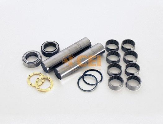 Repair Kit, kingpin (230.069)