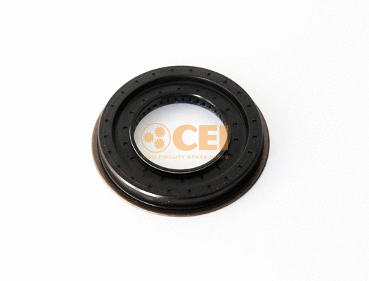 Shaft Seal, differential (239.167)