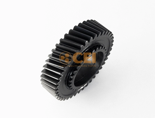 Gear, main shaft (244.556)