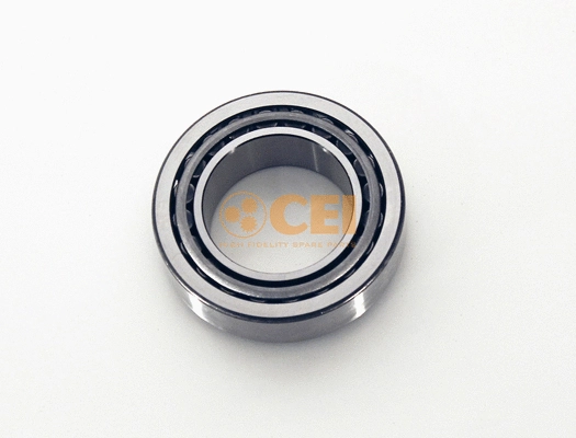 Bearing (130.319)