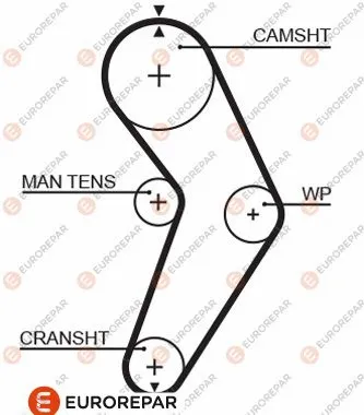 Timing Belt (1633135780)