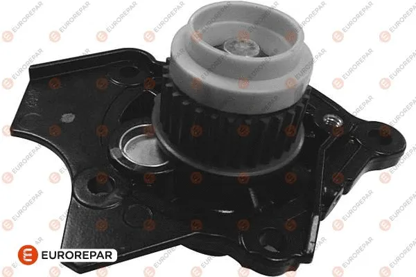 Water Pump, engine cooling (1673339380)