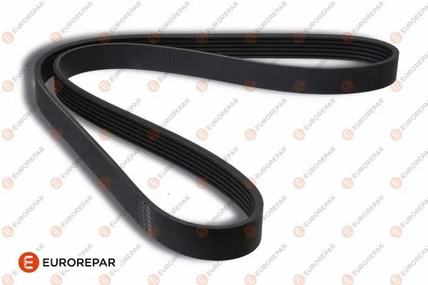 V-Ribbed Belt (1635044280)