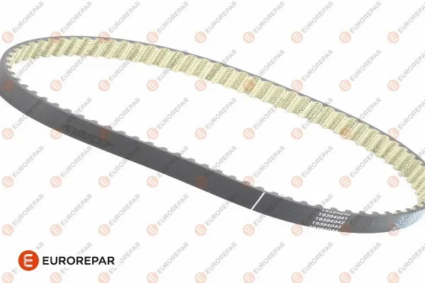 V-Ribbed Belt (1611130080)