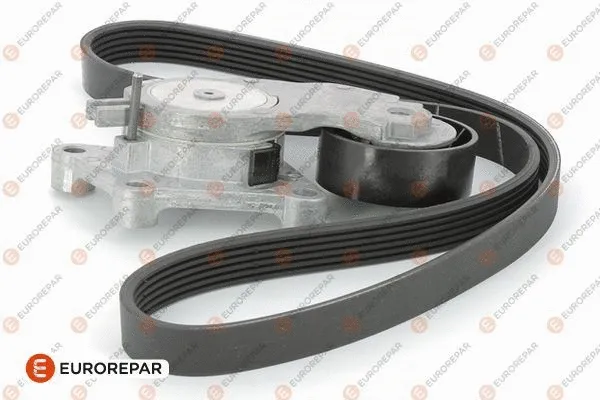 V-Ribbed Belt Set (1613444880)