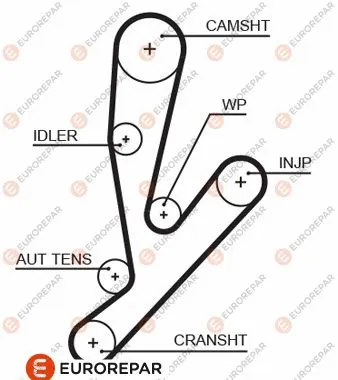 Timing Belt (1633142280)