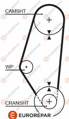 Timing Belt (1633137280)