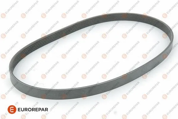 V-Ribbed Belt (1611129480)