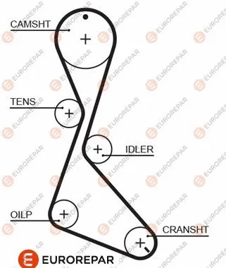 Timing Belt (1633137180)