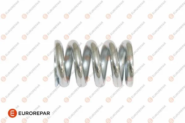 Spring, exhaust pipe (E128E52)