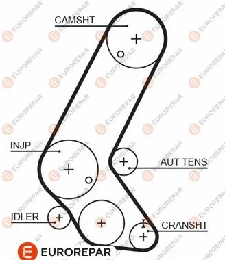 Timing Belt (1633130880)