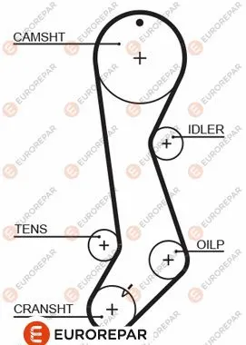 Timing Belt (1633142580)
