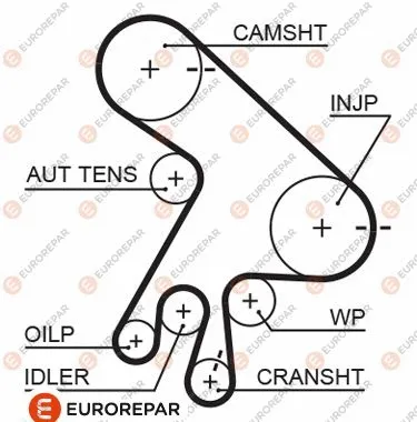 Timing Belt (1633130280)