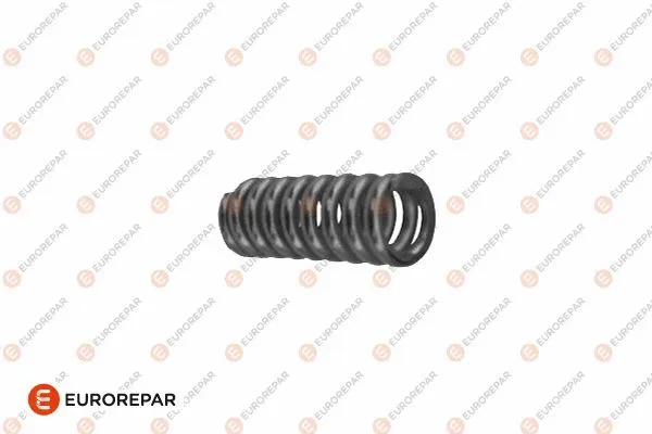 Spring, exhaust pipe (1607361780)