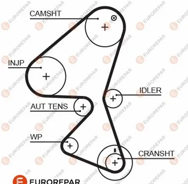 Timing Belt (1633144080)