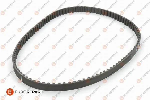 Timing Belt (E117125)