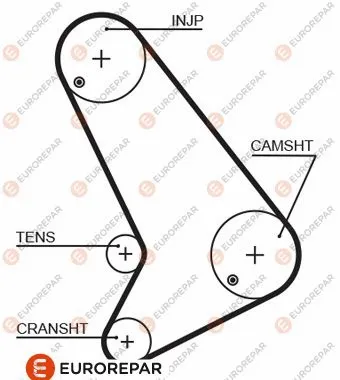 Timing Belt (1633140380)
