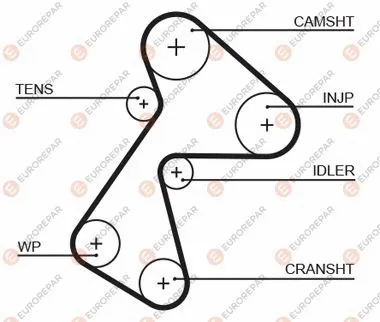 Timing Belt (1633138280)