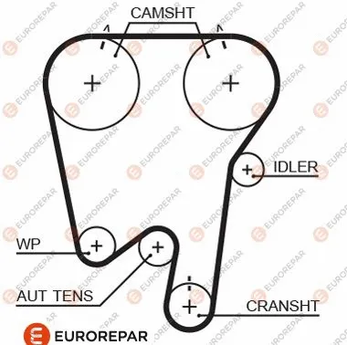 Timing Belt (1633133680)