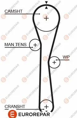Timing Belt (1633131980)