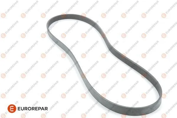 V-Ribbed Belt (1611128080)