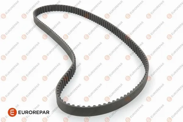 Timing Belt (E117127)