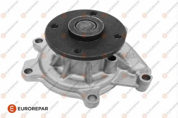 Water Pump, engine cooling (1623106780)