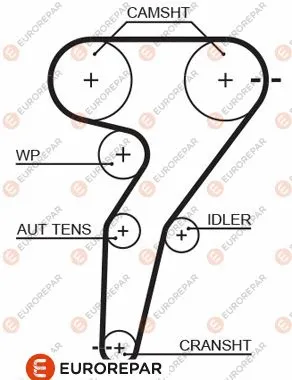 Timing Belt (1633133280)