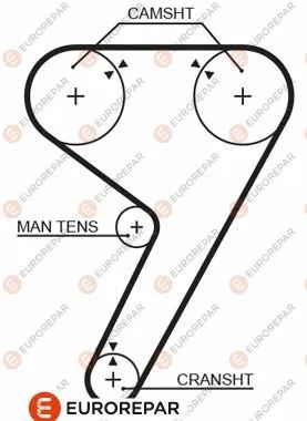 Timing Belt (1633135280)