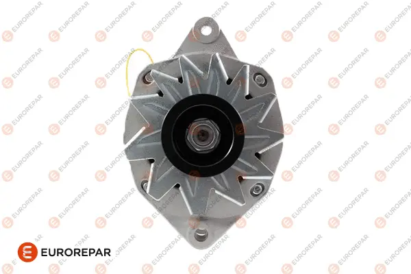 Alternator (1648229780)