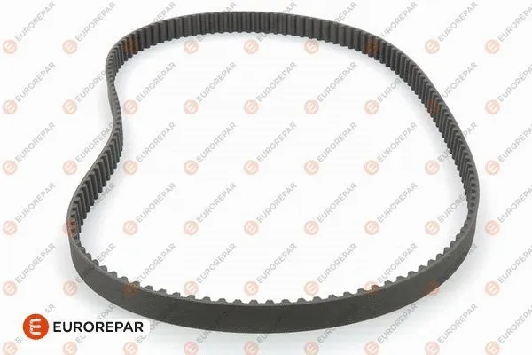 Timing Belt (1608490980)