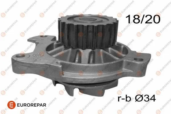 Water Pump, engine cooling (1623104480)