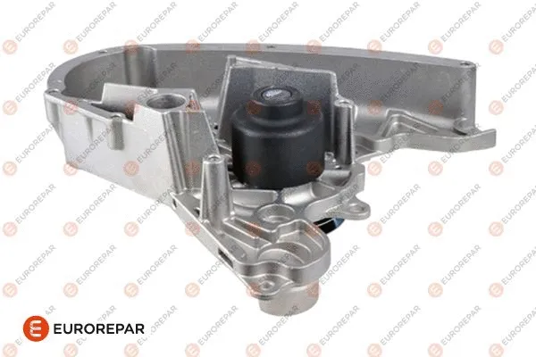 Water Pump, engine cooling (1688987980)