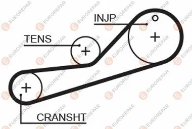 Timing Belt (1633135580)