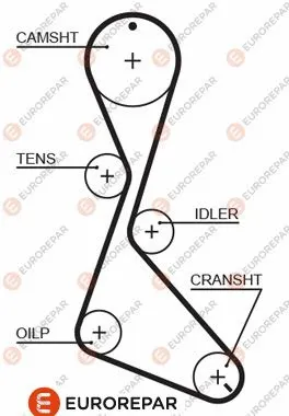 Timing Belt (1633131680)