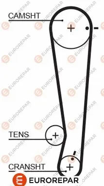 Timing Belt (1633130480)