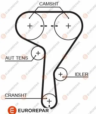 Timing Belt (1633130980)