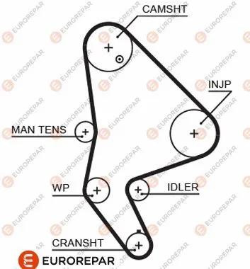 Timing Belt (1633126480)