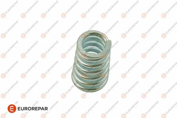 Spring, exhaust pipe (E128E39)