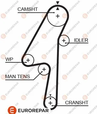 Timing Belt (1633143480)