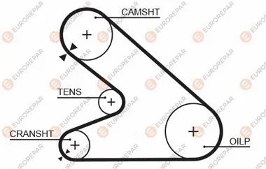 Timing Belt (1633127980)