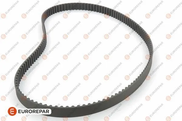 Timing Belt (1606479980)