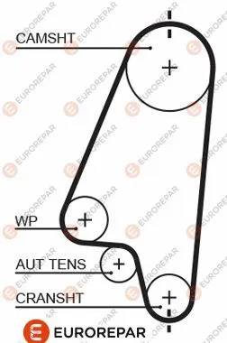 Timing Belt (1633136380)