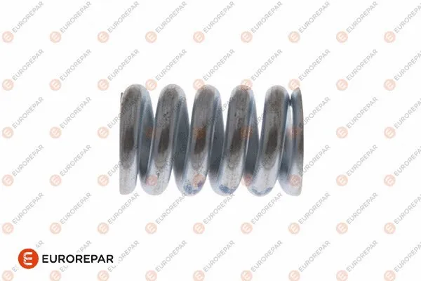 Spring, exhaust pipe (1607361880)